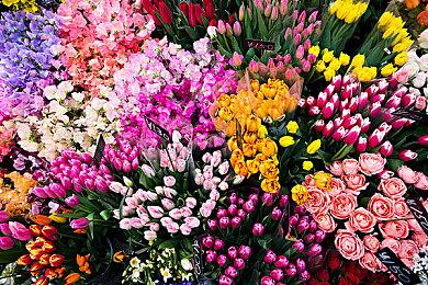 横版动作冒险游戏《S.O.L搜寻光明》现已在Steam平台正式发售